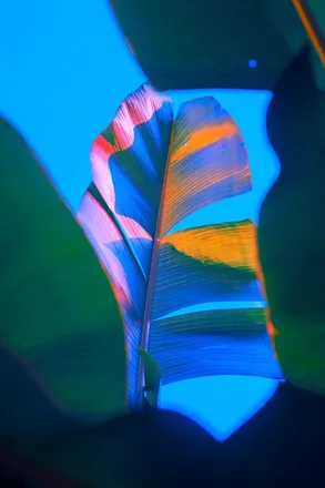 OnlyFans cuenta balagura header 2