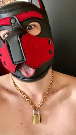 OnlyFans cuenta loganthepupp avatar 1