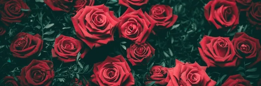 OnlyFans cuenta salemrosexxx header 2