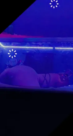 OnlyFans account  bigbootybabe91 header 2