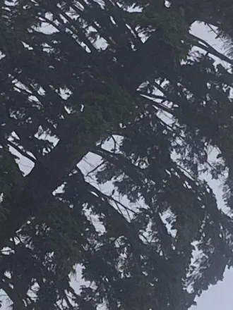 OnlyFans cuenta hermes.official header 2