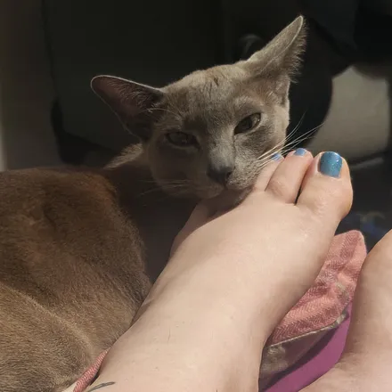 OnlyFans account  sweet_and_spicefeet header 2