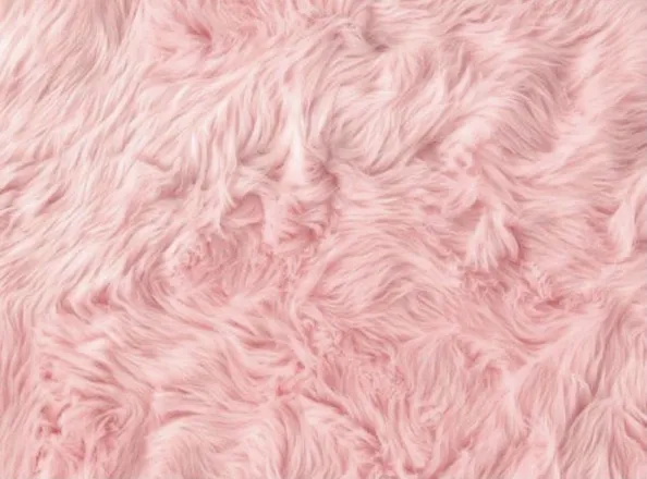 OnlyFans cuenta taylorkaybby header 2