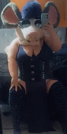OnlyFans cuenta kittynikki316 avatar 1