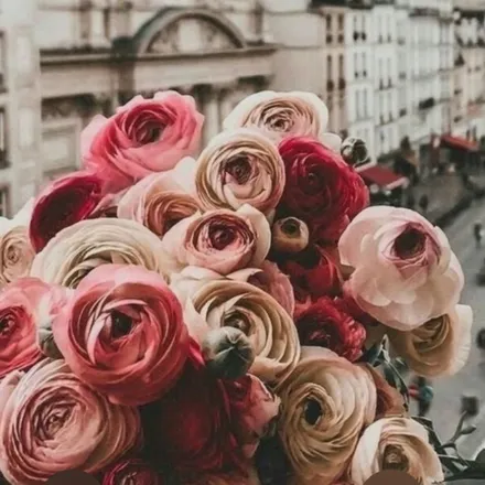 OnlyFans cuenta florenciaas header 2