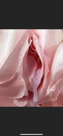 OnlyFans cuenta queenxxxtings header 2