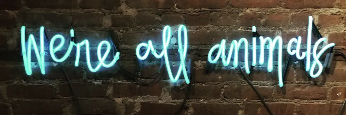 OnlyFans cuenta rjismysir header 2