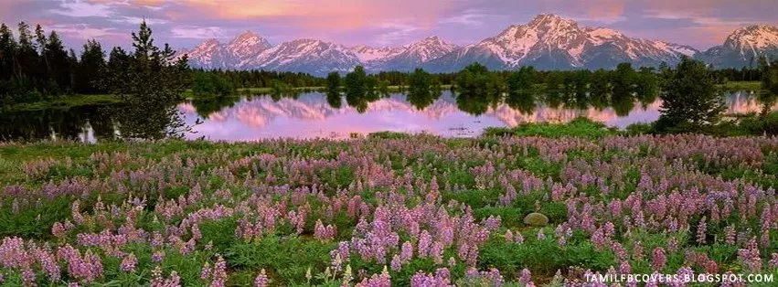 OnlyFans cuenta soapyxxxbubbles header 2