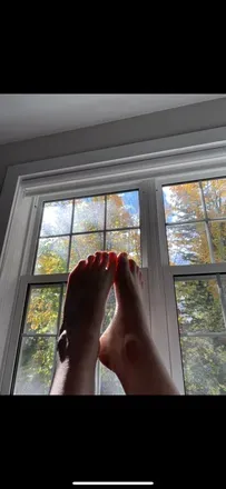 OnlyFans cuenta lakeshorebabe avatar 1