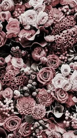 OnlyFans cuenta hailey-bae header 2