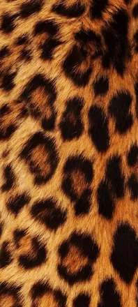 OnlyFans cuenta im_soshy header 2