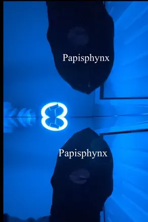 OnlyFans cuenta papisphynx avatar 1
