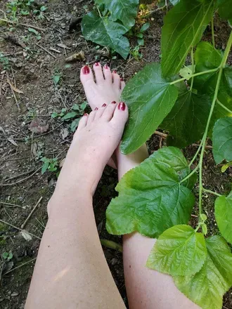OnlyFans cuenta elite_content_secretary avatar 1