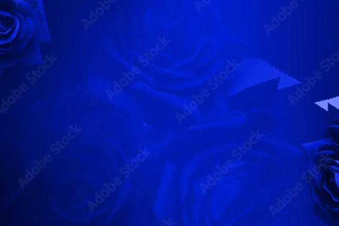 OnlyFans cuenta bluchamagne header 2