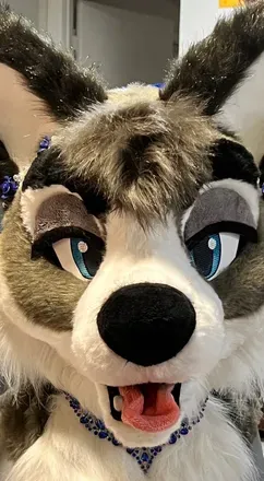OnlyFans cuenta zoey_wusky avatar 1