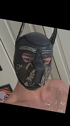 OnlyFans account  untitledpup avatar 1