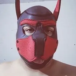 OnlyFans cuenta parrudomx avatar 1
