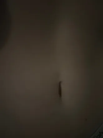 OnlyFans account  bellybuttonbabes header 2