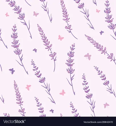 OnlyFans cuenta lavenderpr1ncess header 2