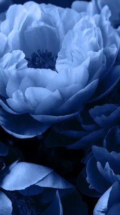 OnlyFans cuenta u178939971 header 2