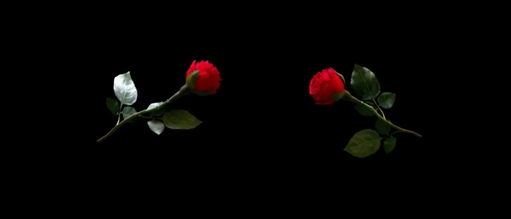 OnlyFans cuenta thenaughtyroses header 2