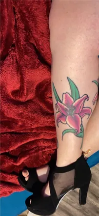 OnlyFans cuenta stargazerlilly header 2