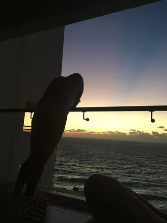 OnlyFans cuenta paulmac_26 header 2