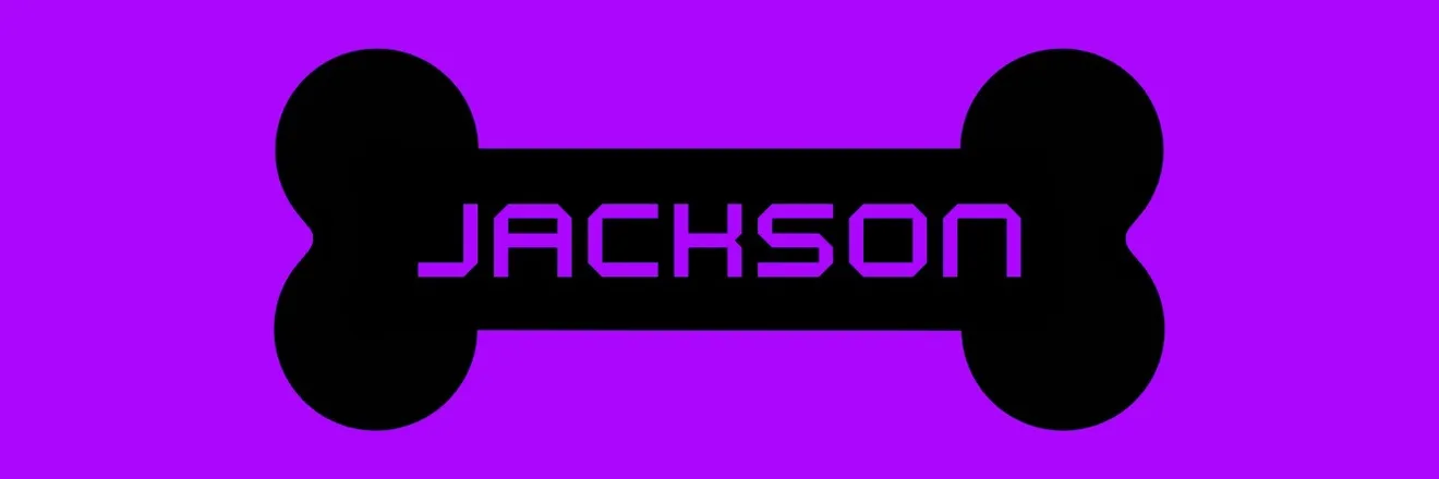 OnlyFans cuenta princejackson header 2