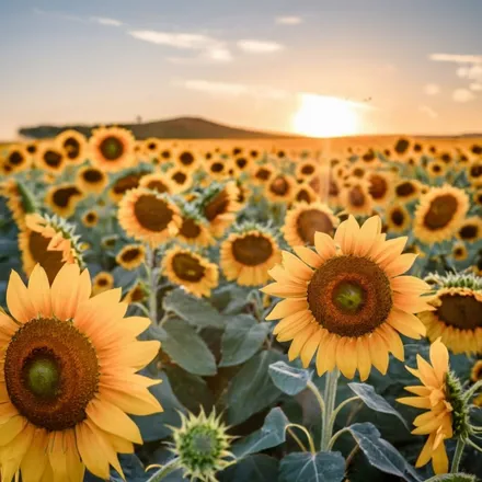 OnlyFans cuenta karleeflower header 2