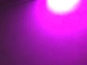 OnlyFans cuenta typxibomin header 2