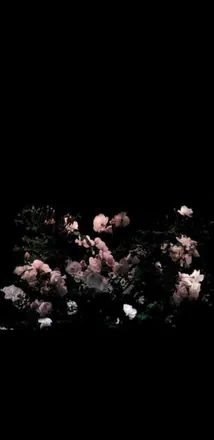 OnlyFans cuenta gothic_temptress header 2