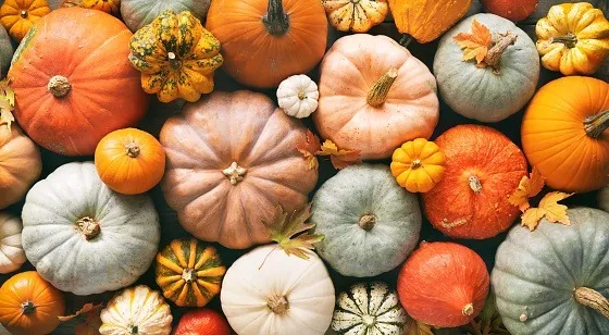 OnlyFans cuenta pumpkin006 header 2
