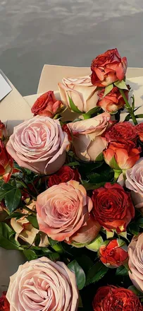 OnlyFans cuenta rosalyy header 2