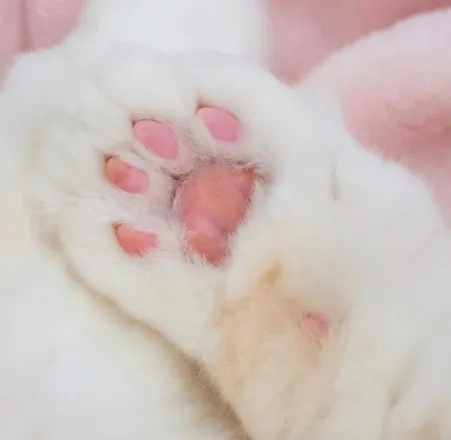 OnlyFans account  toebeanqueen710 header 2