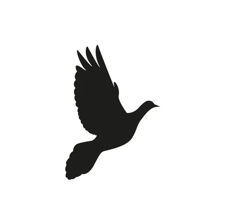 OnlyFans cuenta birdybaby94 header 2
