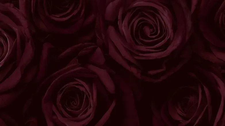 OnlyFans cuenta ginaxd0302 header 2