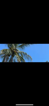 OnlyFans cuenta sunbunnyhunny header 2