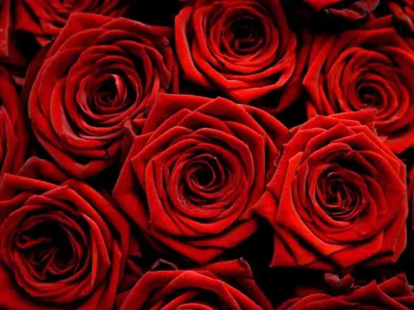 OnlyFans cuenta mistressscarlettrose header 2