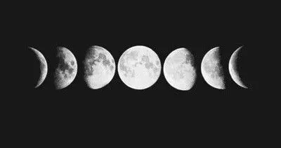OnlyFans cuenta forrestprince13 header 2