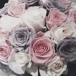 OnlyFans cuenta effynikole header 2