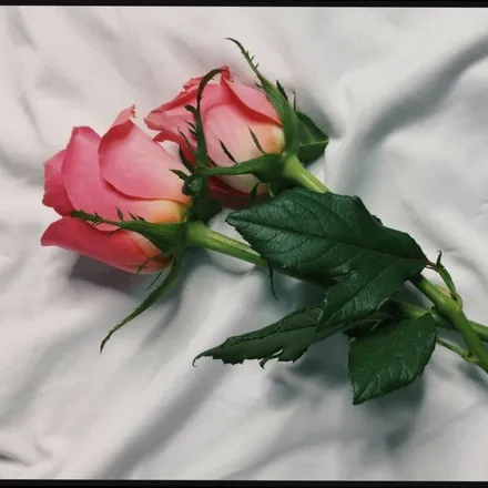 OnlyFans cuenta medusaxx0 header 2