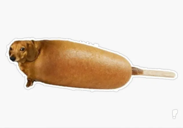OnlyFans cuenta burntcorndog header 2