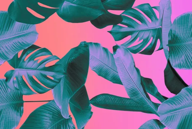 OnlyFans cuenta stonertwinkmpls header 2
