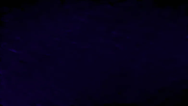 OnlyFans cuenta omeletfans header 2