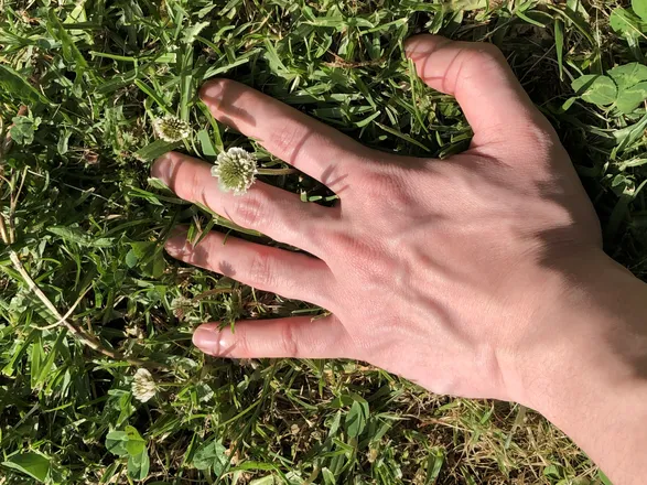 OnlyFans cuenta veiny.boi header 2