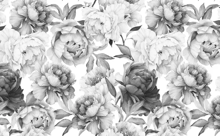OnlyFans cuenta ztpeed header 2