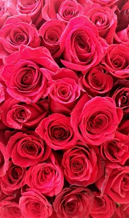 OnlyFans cuenta tulixoxo header 2
