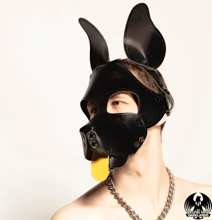 OnlyFans cuenta puppydavey avatar 1