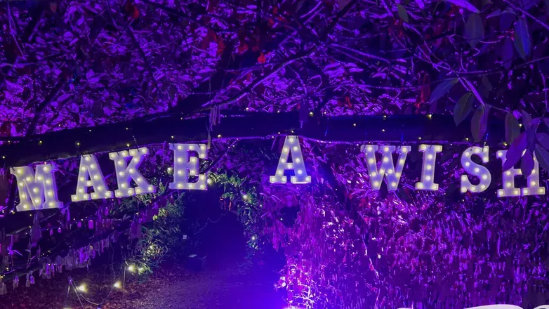 OnlyFans cuenta rileylies header 2
