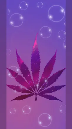 OnlyFans cuenta kumakush header 2